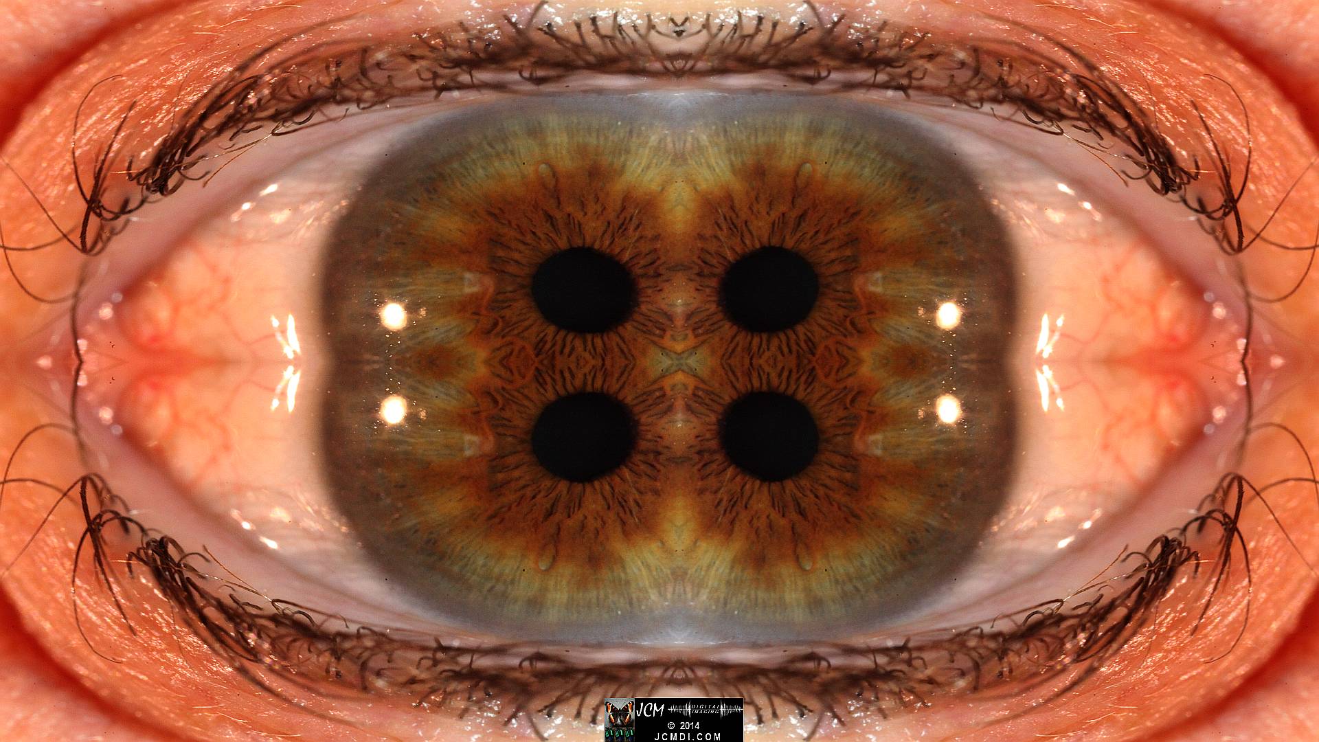 Quadroscopic Artwork made from an image of a real human eye